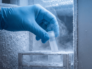 Bamabnker in Freezer _Banner _16_9 Bamabnker in Freezer _Banner _16_9