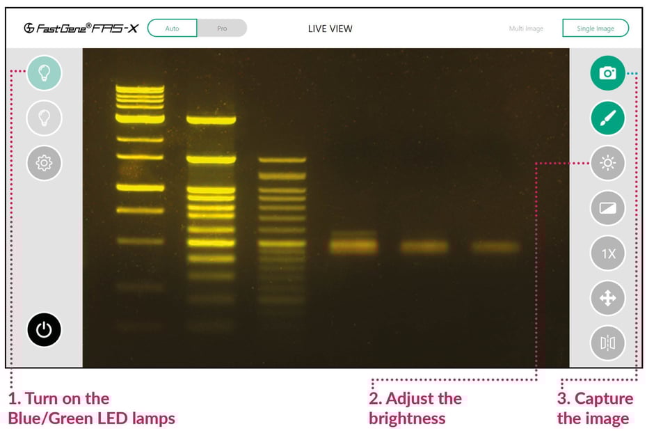 FAS-X software_3 taps to image gel 2