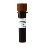 MG04-Midori-Green-Advance-1mL