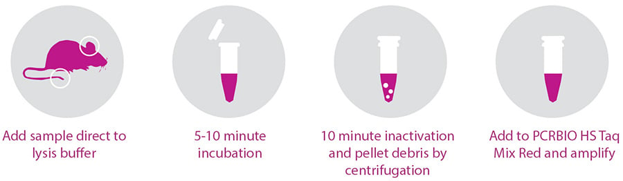 PCRBIO-Rapid-Extract-PCR-Kit-scheme