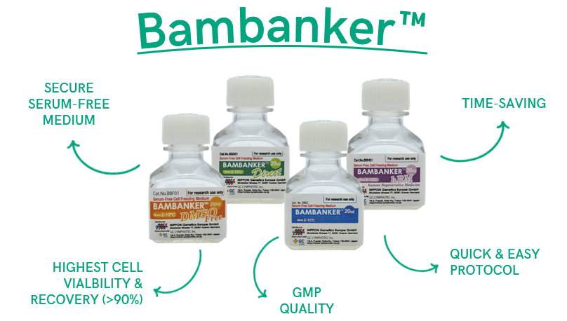 Reason to trust Bambanker