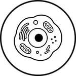 cellbio-icon
