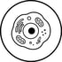 cellbio-icon