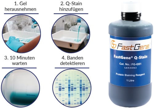 fastgene-qstain-buffer-fg-qs1