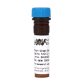 mg12-midori-green-easy-vial