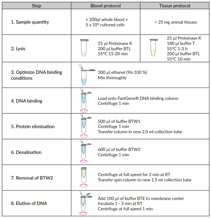 protocol-fg-blood-tissue-gdna-extraction-kit