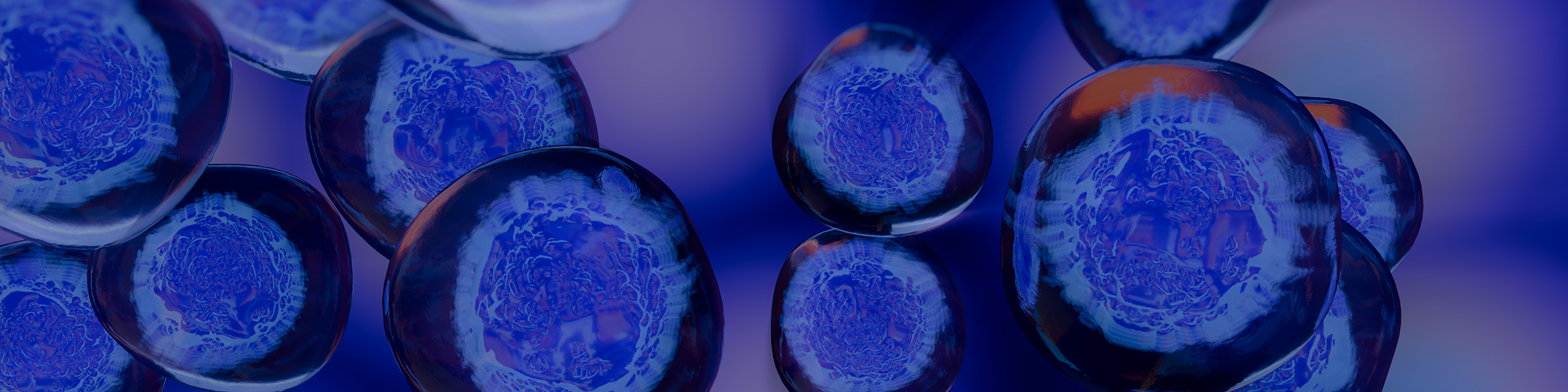 bambanker-embryonic-stem-cells