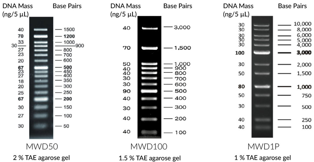 fastgene-dna-marker-mwpd fastgene-dna-marker-mwpd