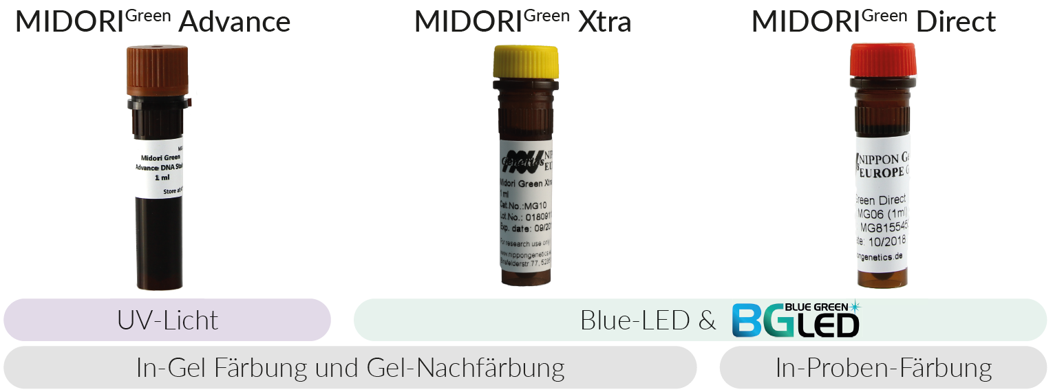 midori-green-dna-farbstoffe midori-green-dna-farbstoffe